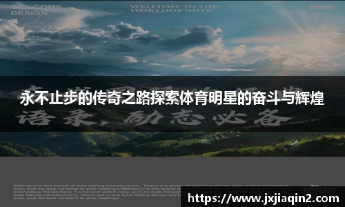 乐盈VI官网